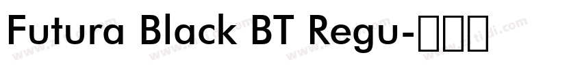 Futura Black BT Regu字体转换